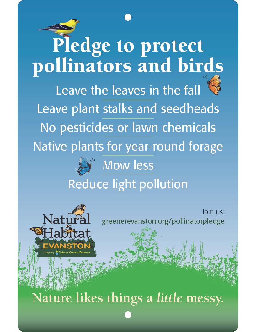 pledge blue with meadow pledge blue with meadow