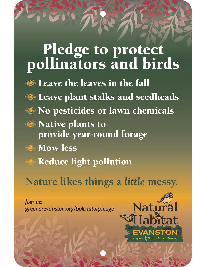 pledge Green with tall prairie grasses pledge Green with tall prairie grasses